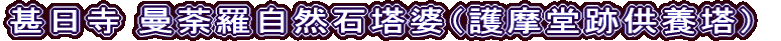 甚日寺 曼荼羅自然石塔婆（護摩堂跡供養塔）