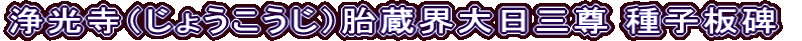 浄光寺（じょうこうじ）胎蔵界大日三尊 種子板碑
