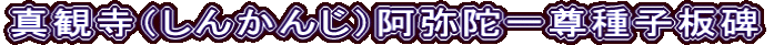 真観寺（しんかんじ）阿弥陀一尊種子板碑