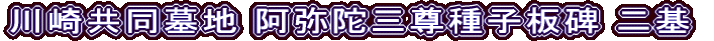 川崎共同墓地 阿弥陀三尊種子板碑 二基