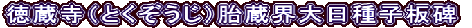 徳蔵寺（とくぞうじ）胎蔵界大日種子板碑