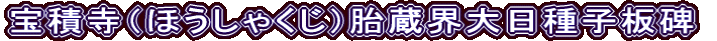 宝積寺（ほうしゃくじ）胎蔵界大日種子板碑