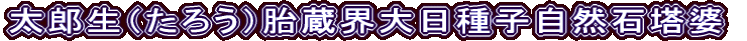 太郎生（たろう）胎蔵界大日種子自然石塔婆