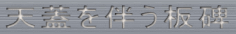 天蓋を伴う板碑
