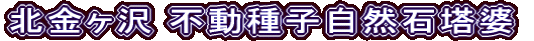 北金ヶ沢 不動種子自然石塔婆