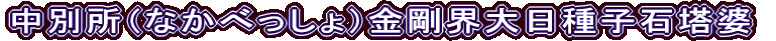 中別所（なかべっしょ）金剛界大日種子石塔婆