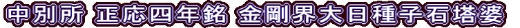 中別所 正応四年銘 金剛界大日種子石塔婆
