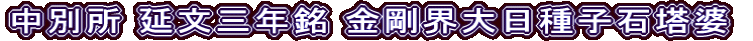中別所 延文三年銘 金剛界大日種子石塔婆