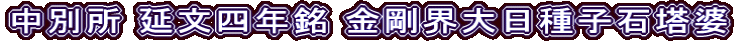 中別所 延文四年銘 金剛界大日種子石塔婆