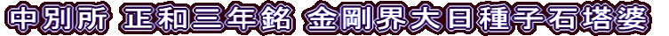中別所 正和三年銘 金剛界大日種子石塔婆