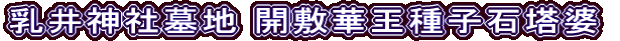 乳井神社墓地 開敷華王種子石塔婆