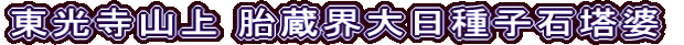 東光寺山上 胎蔵界大日種子石塔婆