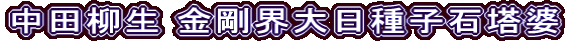 中田柳生 金剛界大日種子石塔婆