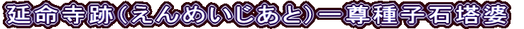延命寺跡（えんめいじあと）一尊種子石塔婆