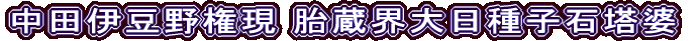 中田伊豆野権現 胎蔵界大日種子石塔婆