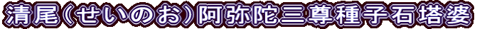 清尾（せいのお）阿弥陀三尊種子石塔婆