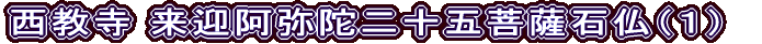  }ɓ\ܕFΕiPj