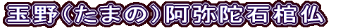 ʖi܂́jɐΊ