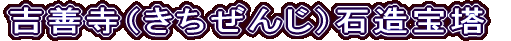 gPi񂶁jΑ