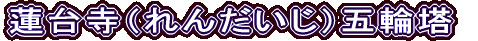 @䎛i񂾂jܗ֓