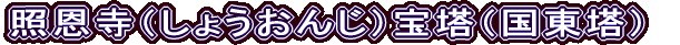 Ɖi傤񂶁j󓃁ij