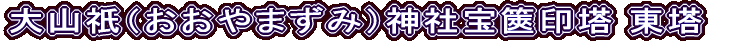 R_i܂݁j_Е⸈ 