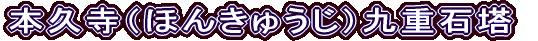 {viق񂫂イjdΓ