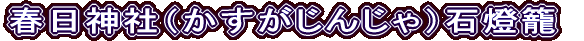 t_Ёi񂶂jΓ