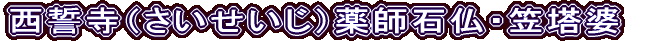 西誓寺（さいせいじ）薬師石仏・笠塔婆