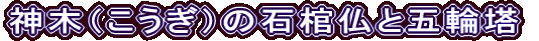 _؁ij̐Ίƌܗ֓
