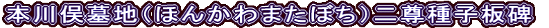 本川俣墓地（ほんかわまたぼち）二尊種子板碑