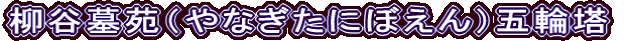 J扑iȂɂڂjܗ֓