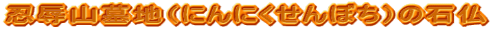 EJRniɂɂڂj̐Ε