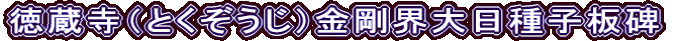 徳蔵寺（とくぞうじ）金剛界大日種子板碑