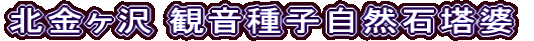 北金ヶ沢 観音種子自然石塔婆