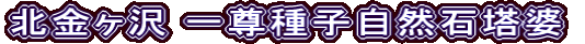北金ヶ沢 一尊種子自然石塔婆