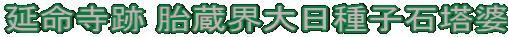 延命寺跡 胎蔵界大日種子石塔婆