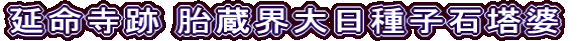 延命寺跡 胎蔵界大日種子石塔婆