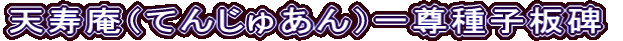 天寿庵（てんじゅあん）一尊種子板碑