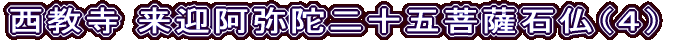  }ɓ\ܕFΕiSj
