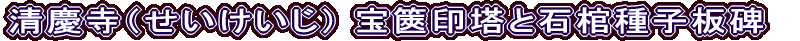 cij ⸈󓃂ƐΊq