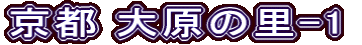 s 匴̗-1