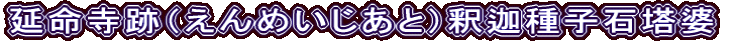 延命寺跡（えんめいじあと）釈迦種子石塔婆