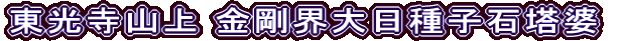 東光寺山上 金剛界大日種子石塔婆